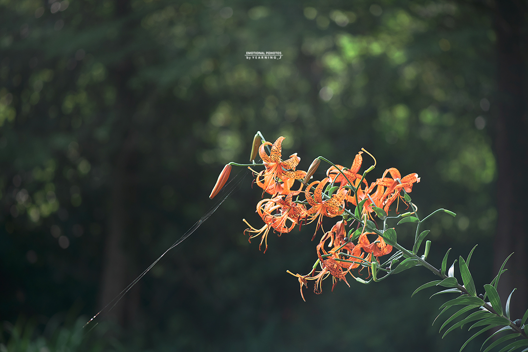 26K_1839-2.jpg