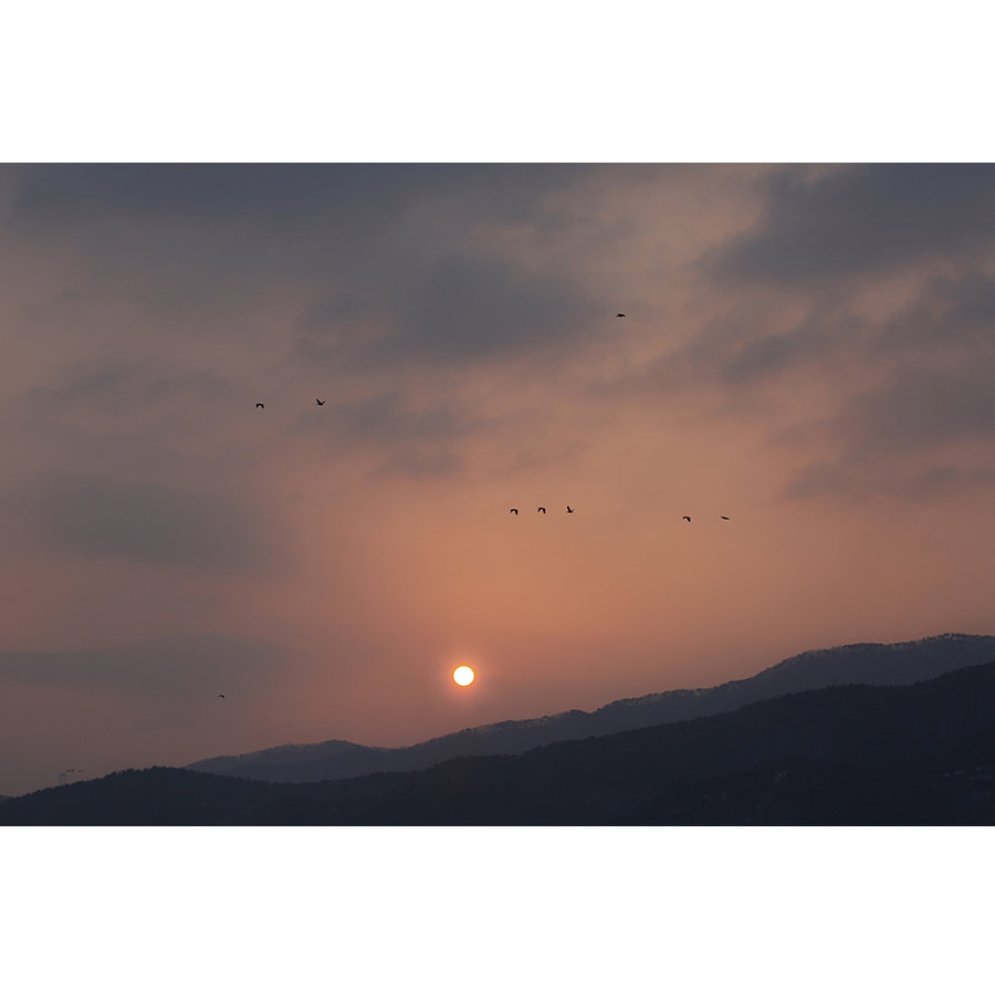 필2.jpg