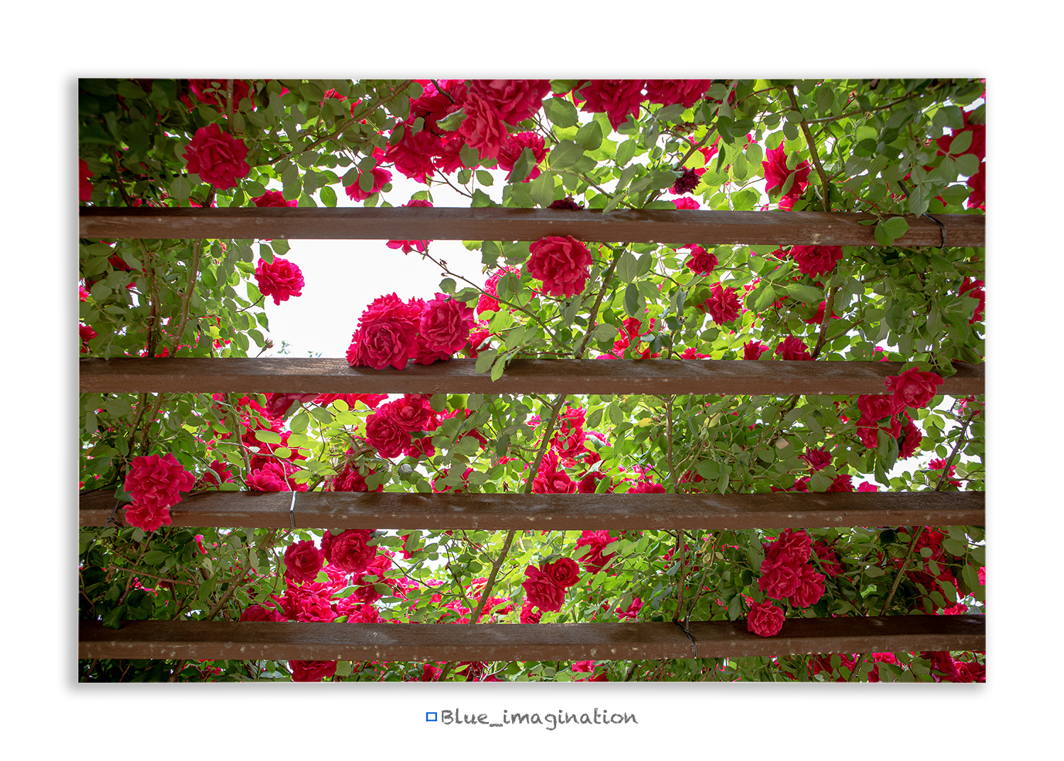 MJ5_3668 PS.jpg