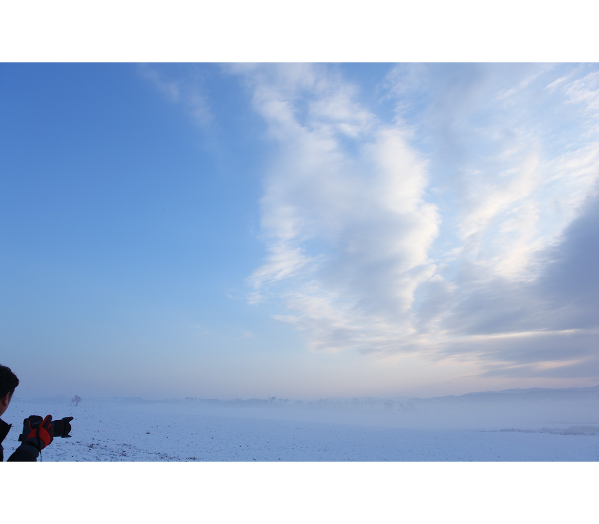 _mg_2466.jpg