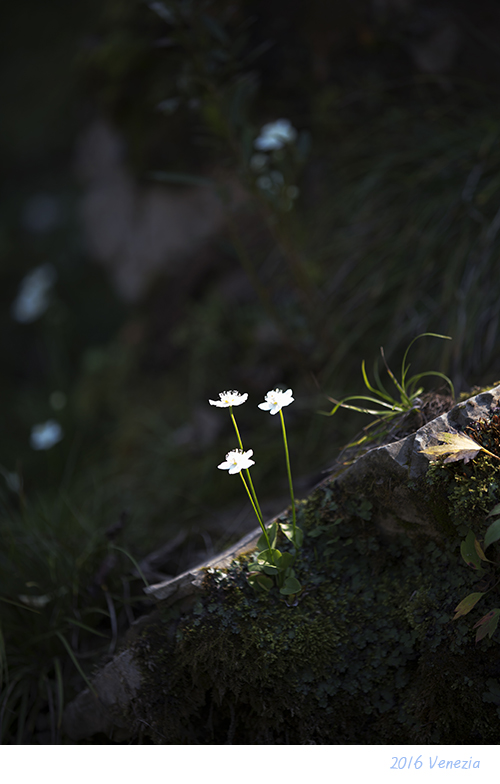 a45a1583-cn.jpg