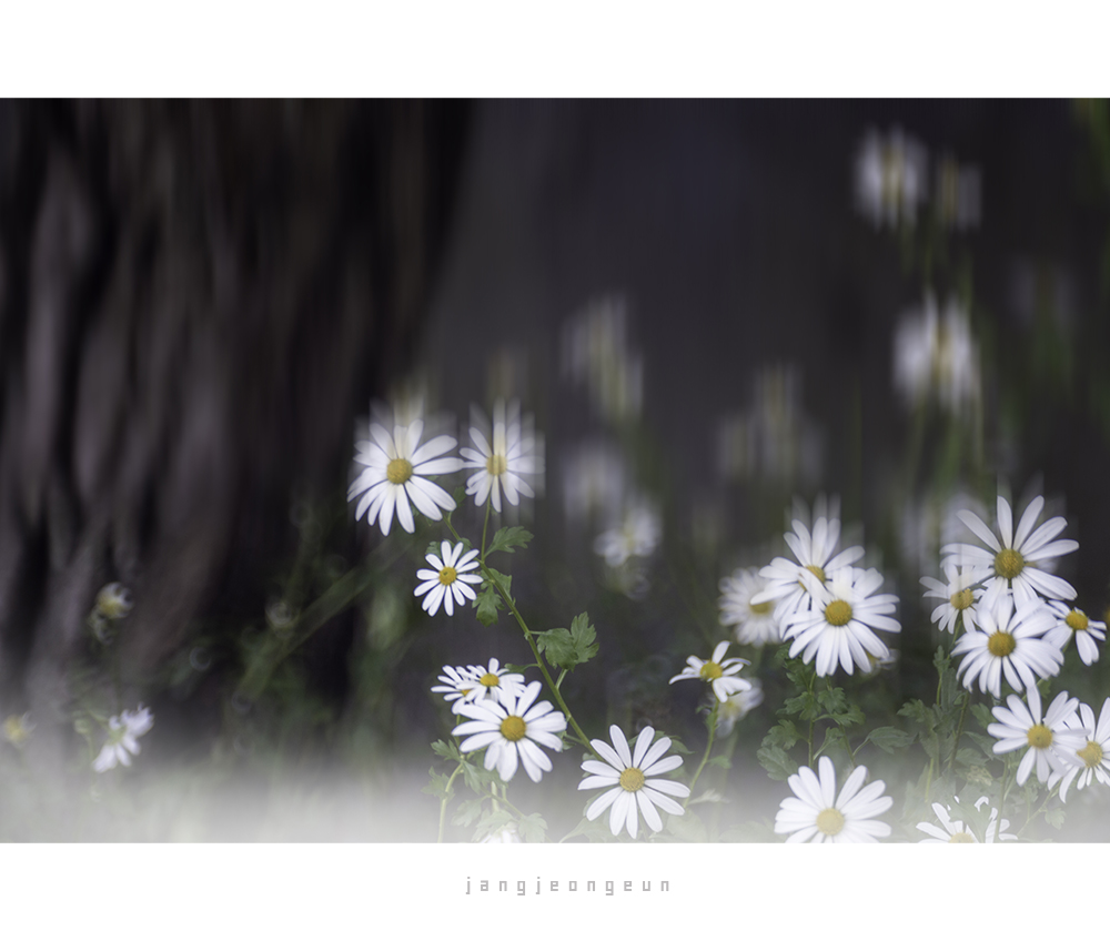 구철초-1.jpg
