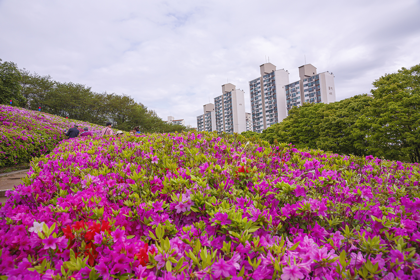 D55A0164-2.jpg