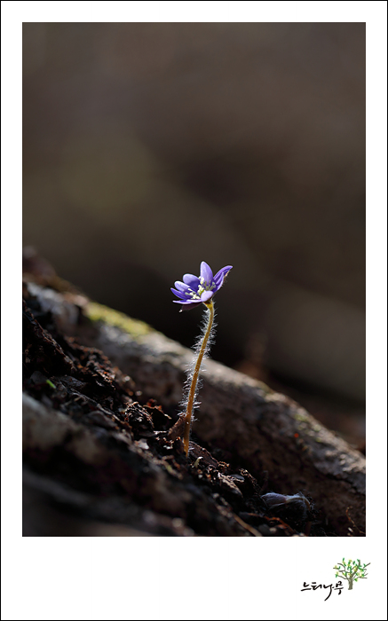 1D5A7081.jpg
