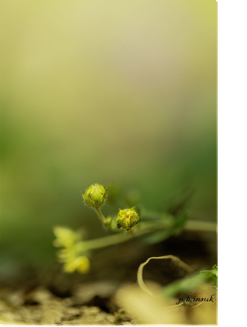 071A0554 복사-3.jpg