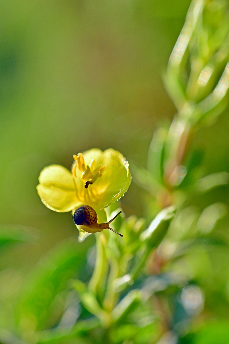 cts_9975_00027.jpg