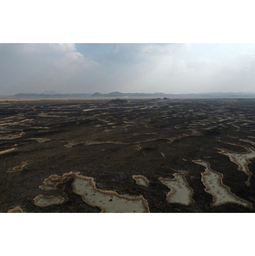 dji_0421.jpg