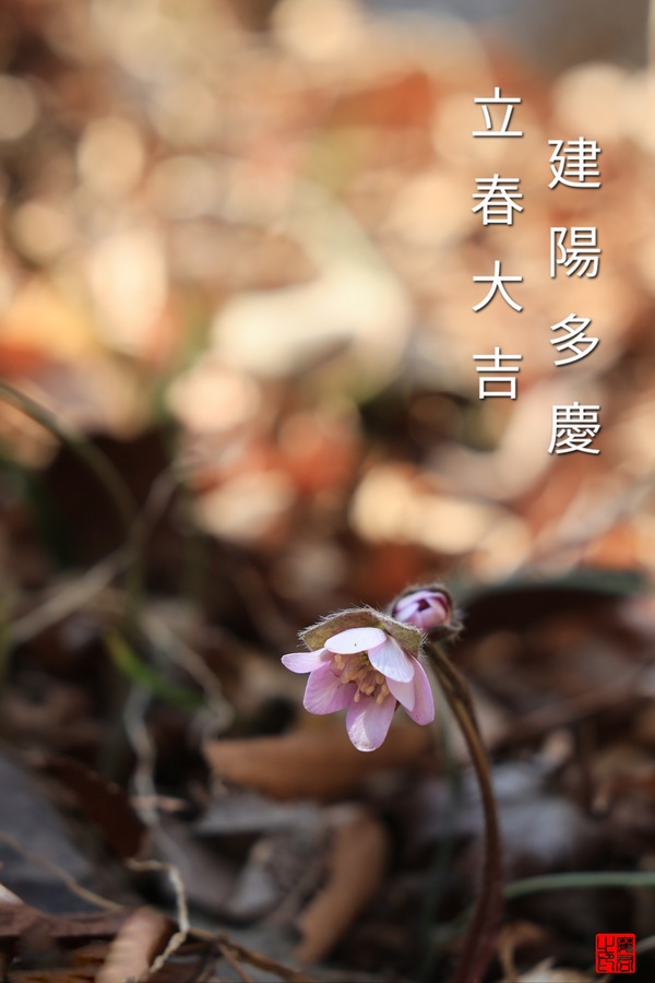 4D1A9063(2) (2)(1).jpg