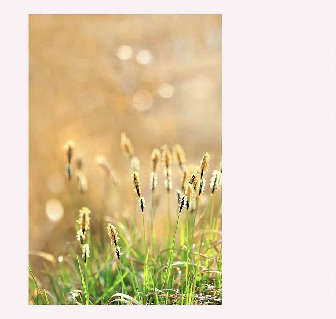 3E9A2925 -1-1200액자.jpg