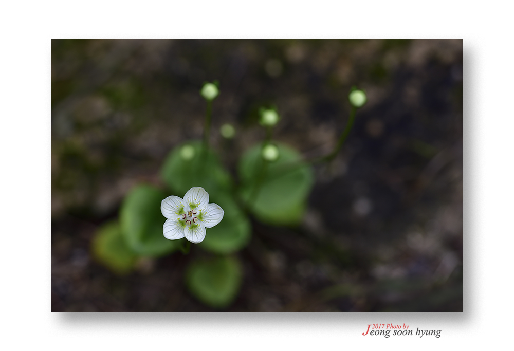 _dsc3318-1r.jpg