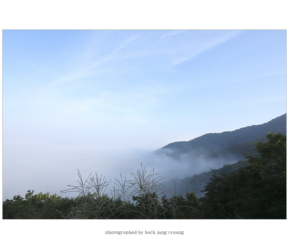 _d3a4149.jpg
