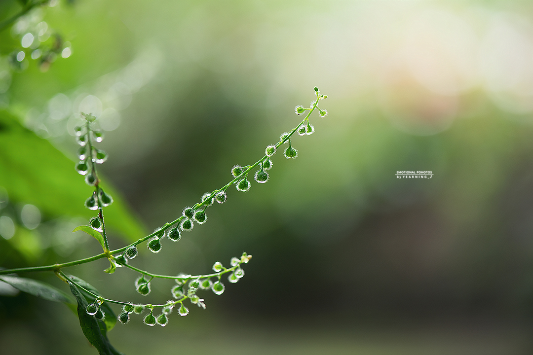 26K_5489-1.jpg