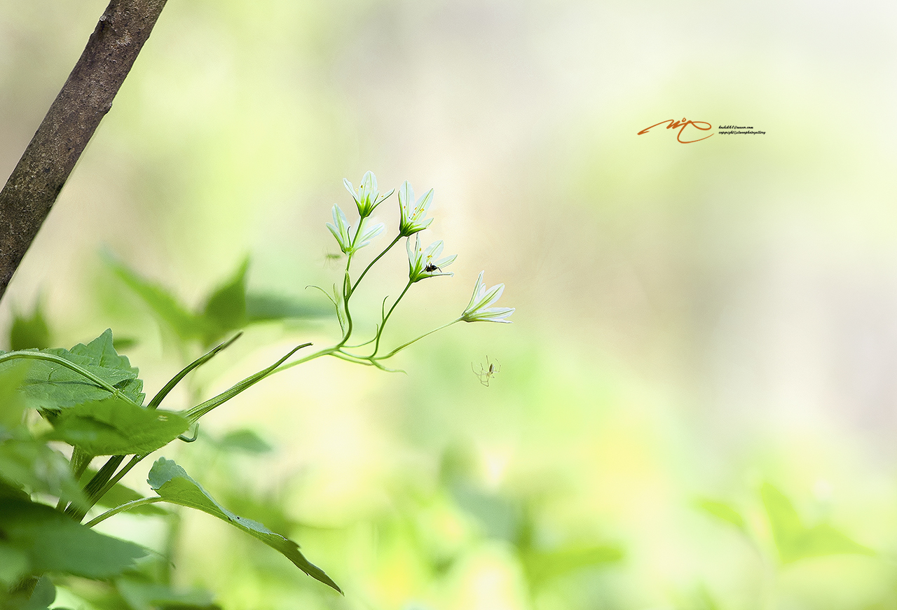 제목 없음1_00001-3.jpg