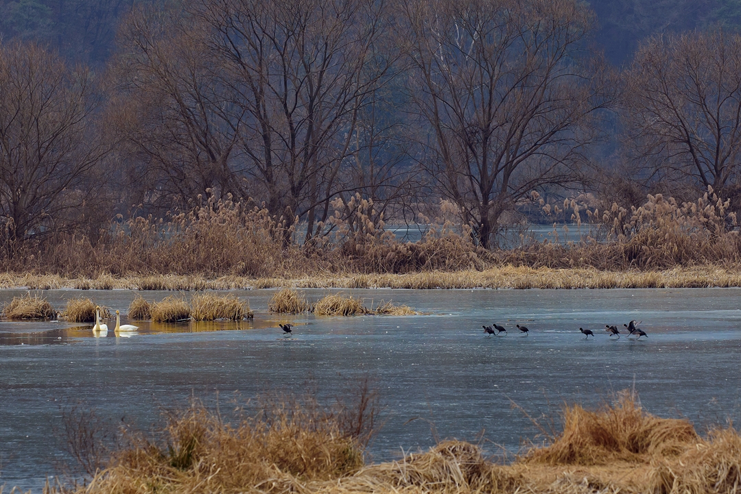 dsc_5063-2.jpg