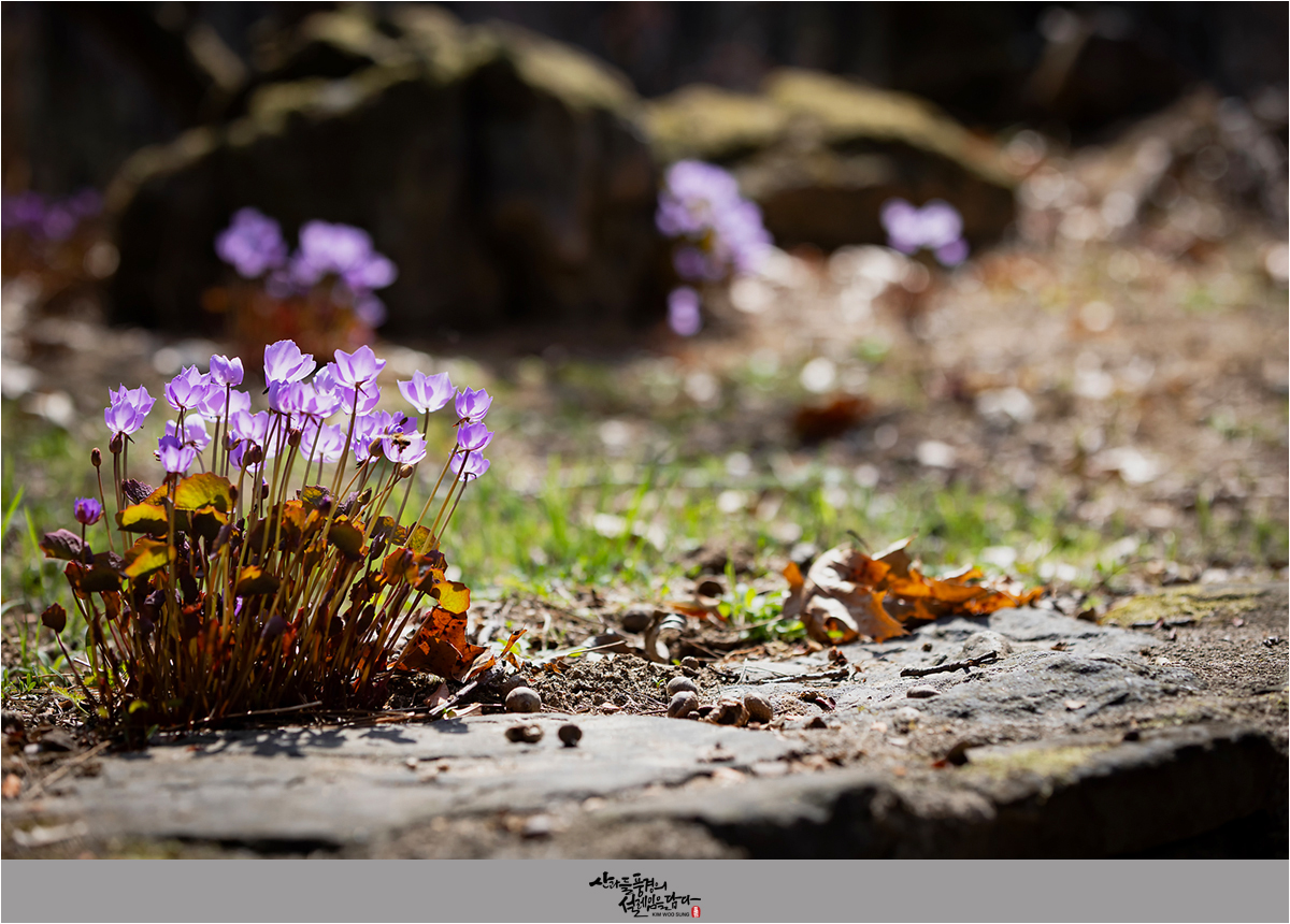 1200-860 그레이 액자_01.jpg