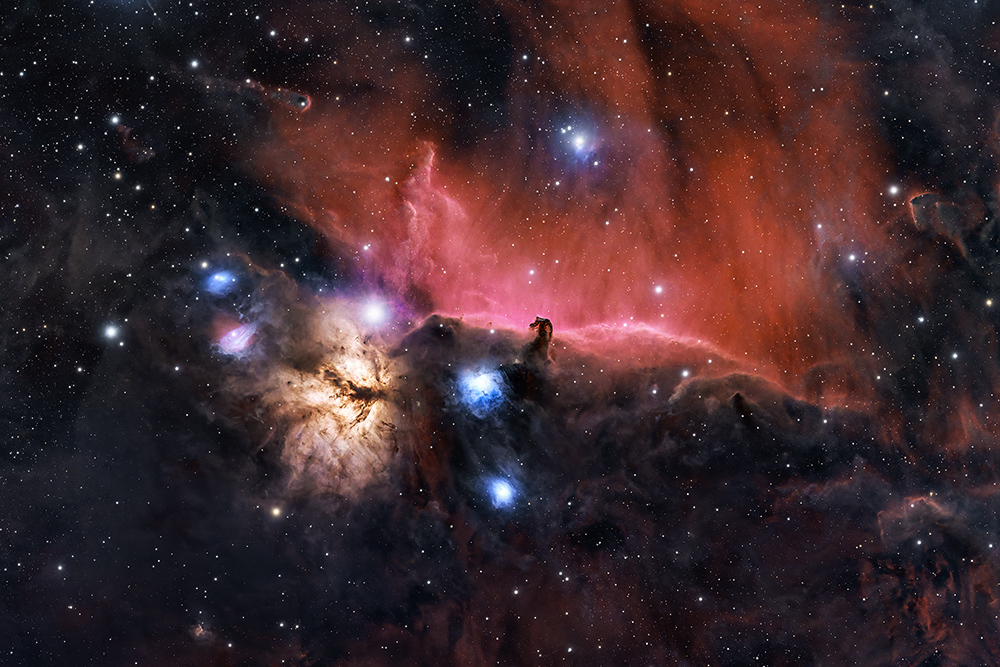 IC 434  (20251125 방내리) (1000).jpg