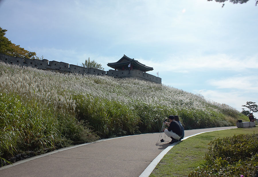 IMG_8195줄임.jpg