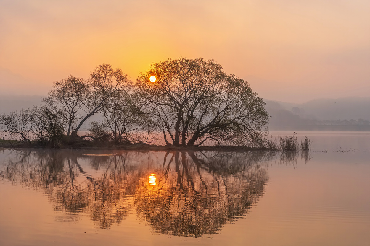 JYH_9884-HDR.jpg