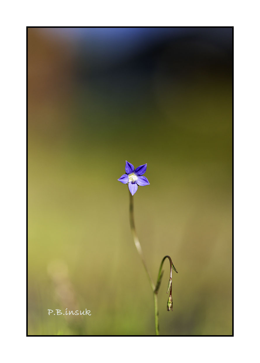 071A5679-2.jpg