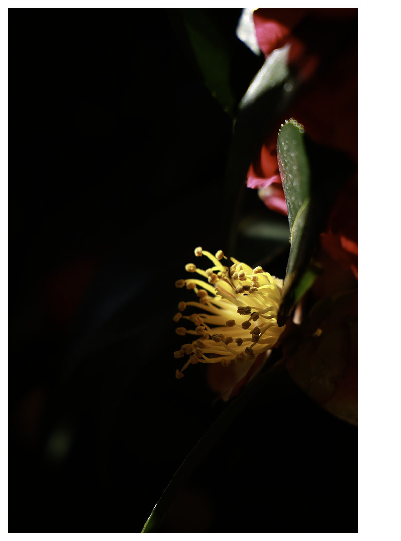 071A6531-3 복사-4.jpg