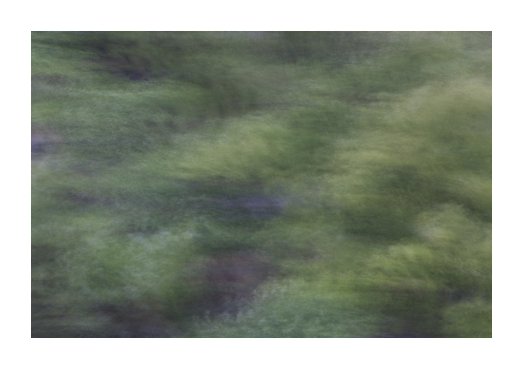 _49a7201-1.jpg