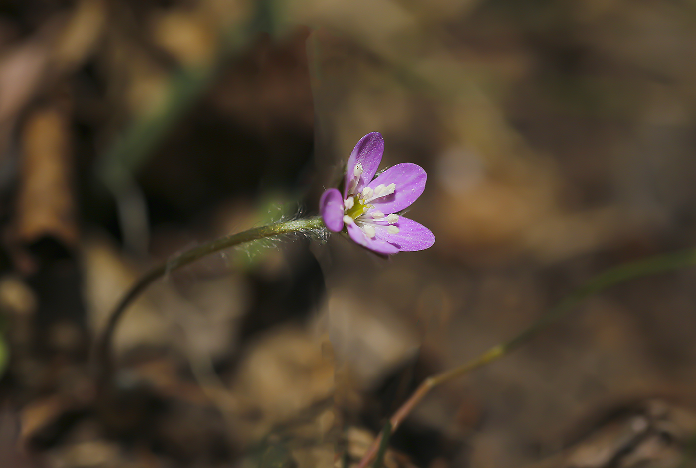 D55A0139-2.jpg