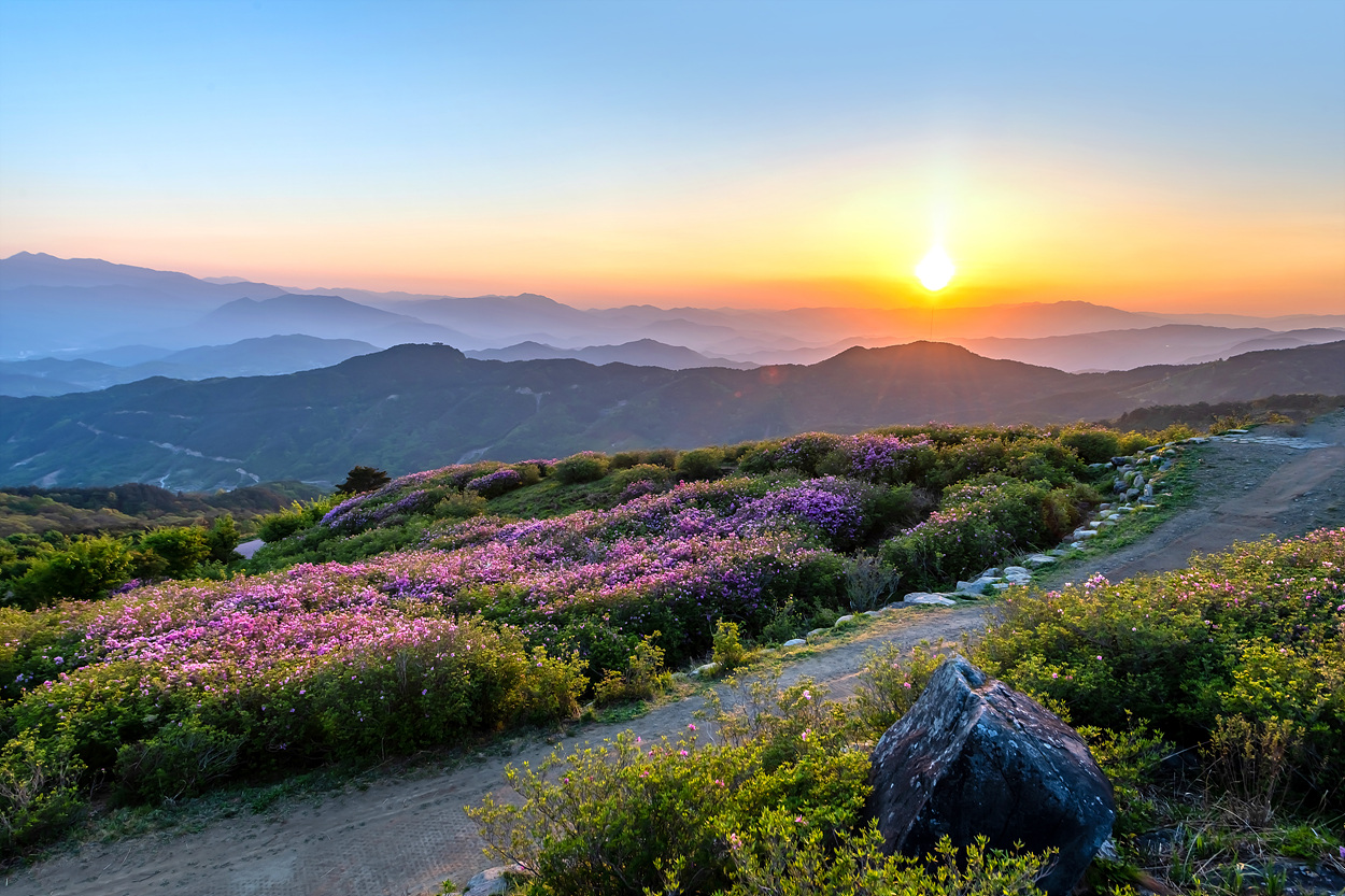 황매산1 (1).jpg