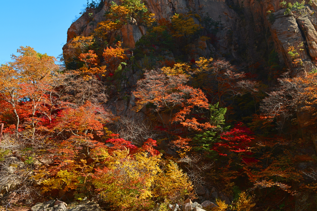 dsc_3198-13.jpg