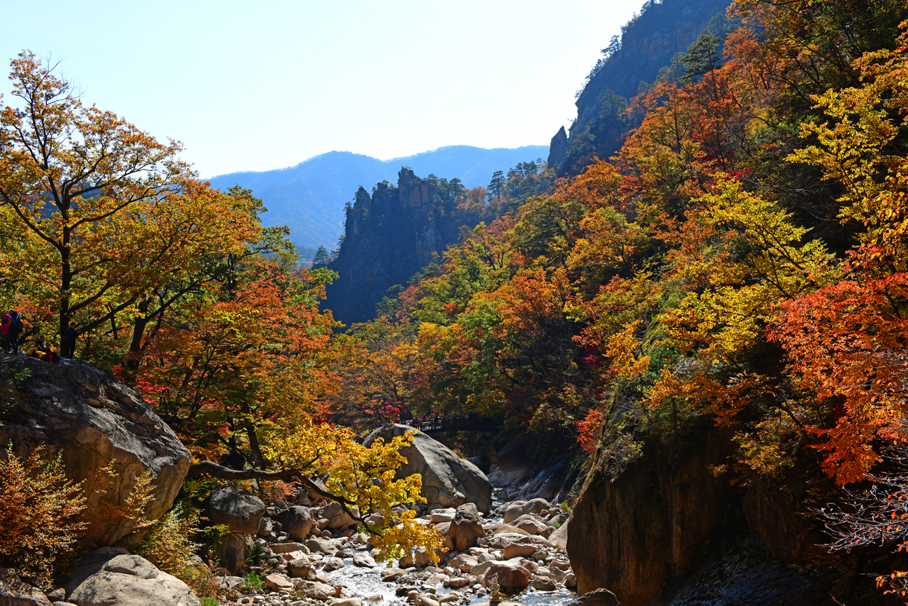 dsc_3226-13.jpg