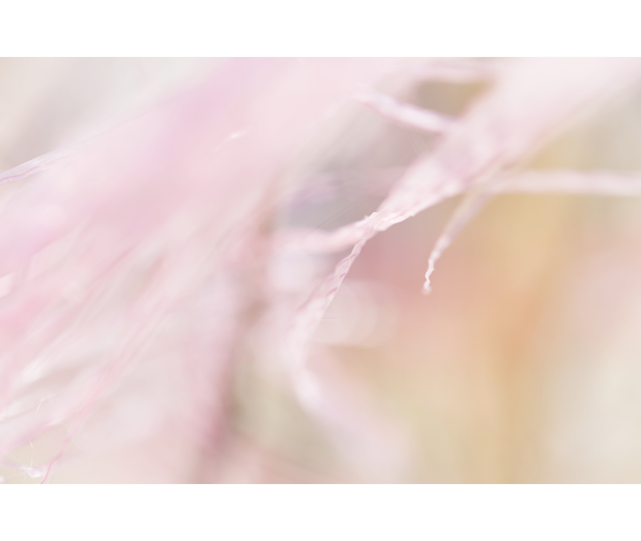 20160301-_49a7992a.jpg