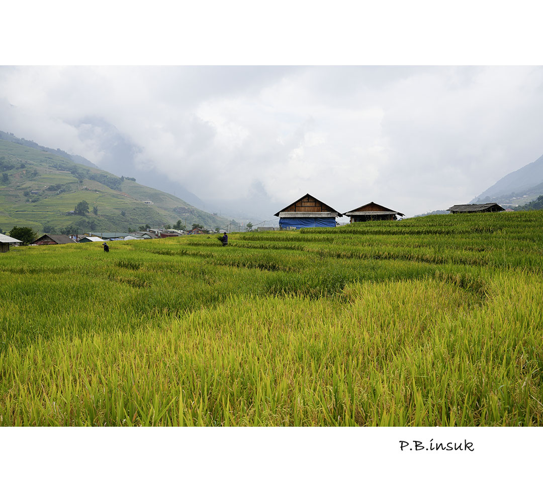 DSC07019-3.jpg