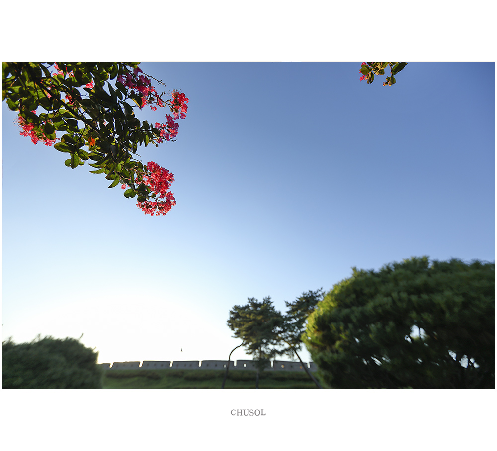 _D3A5286.jpg