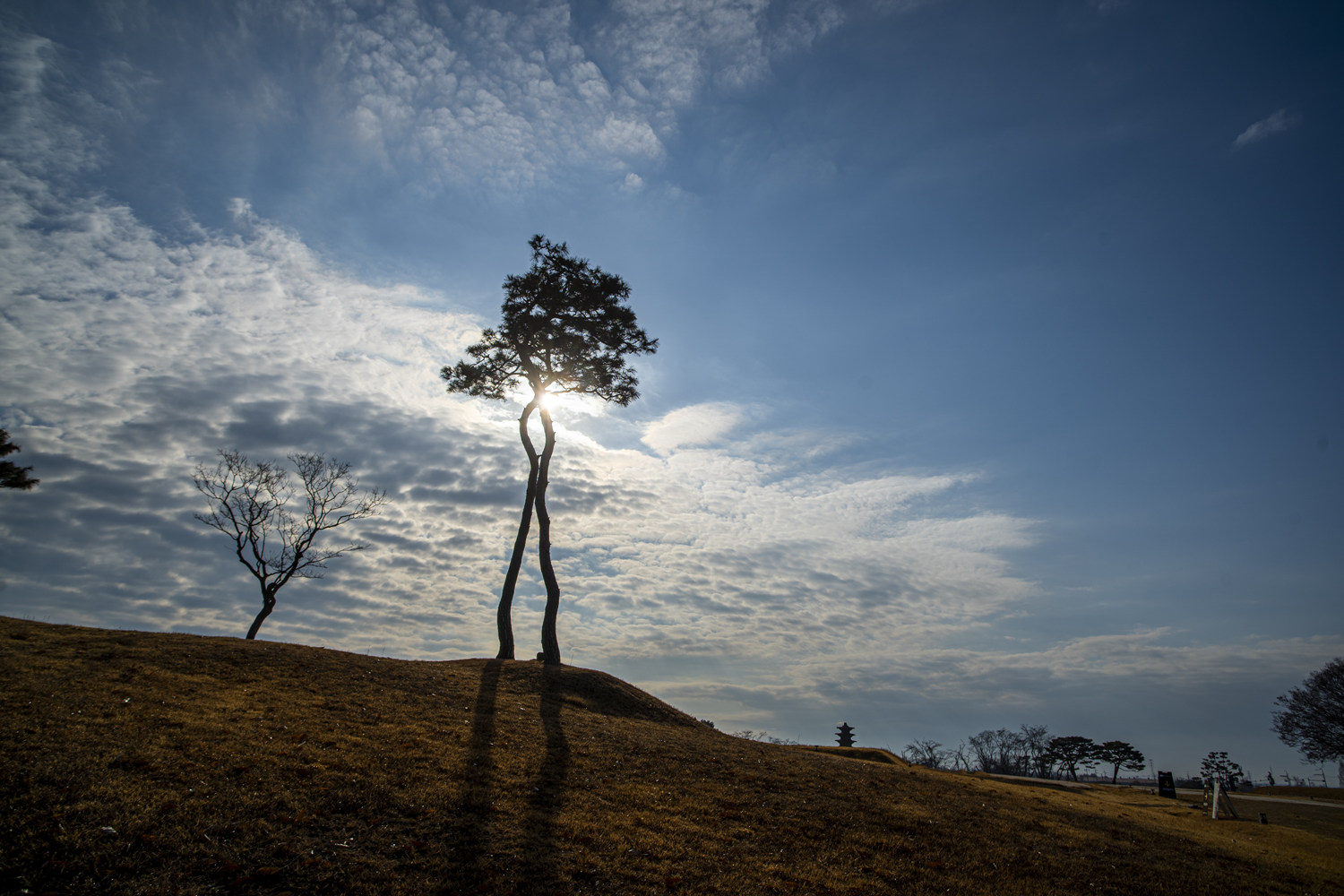 익산 왕궁유적지 2.jpg