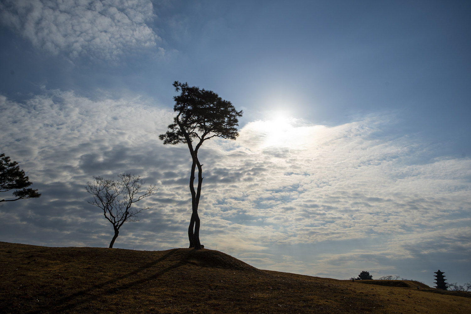 익산 왕궁유적지 3.jpg
