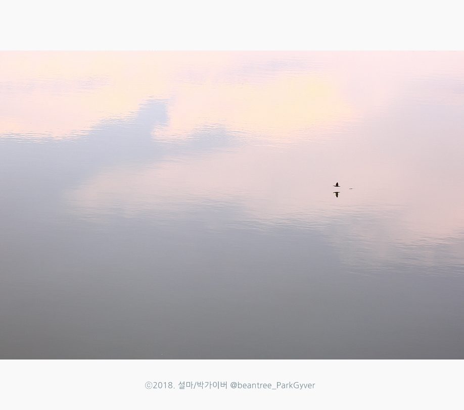 beantree_20180812_5406-1_fj_.jpg