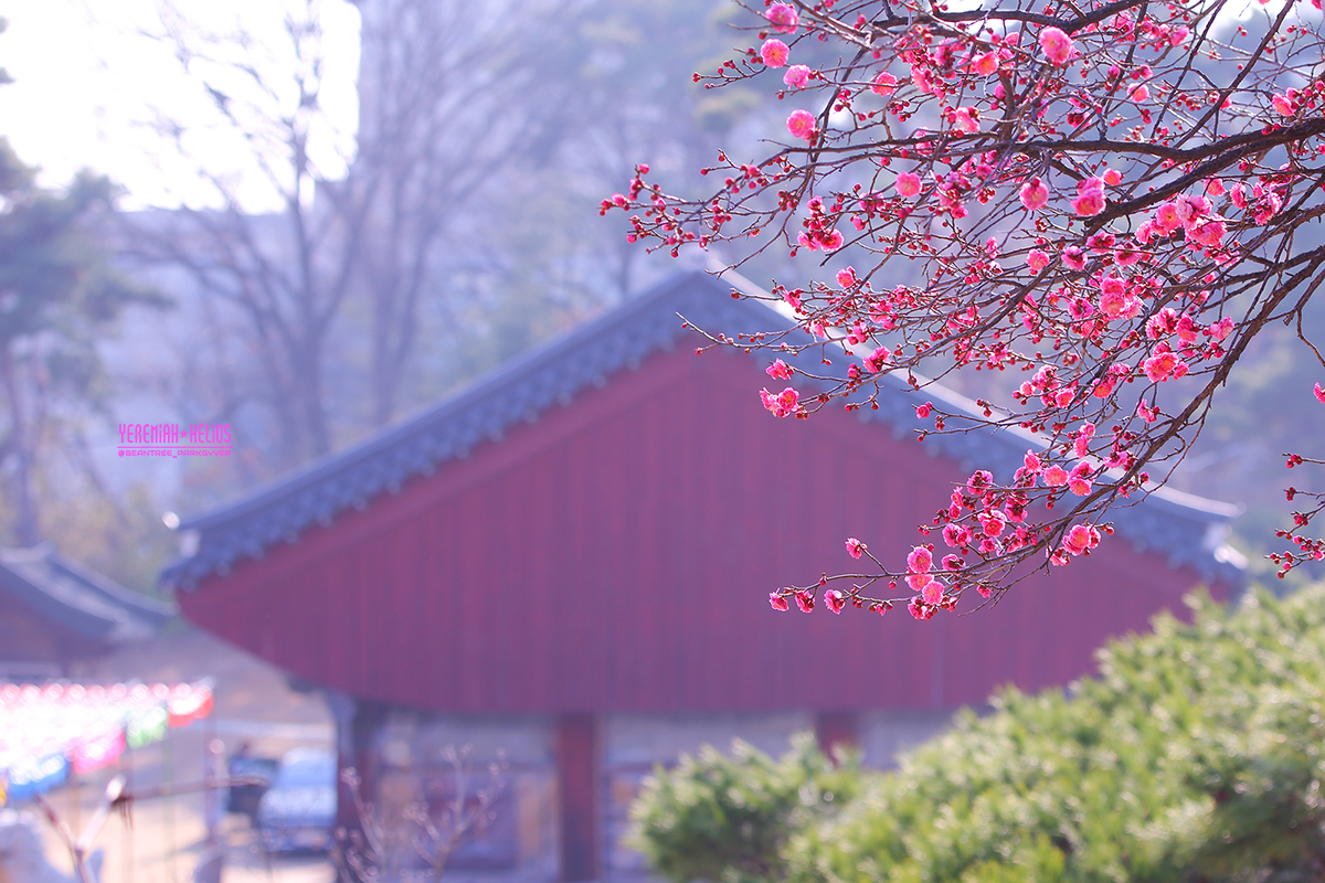 beantree250322_0607(YH)1200.jpg