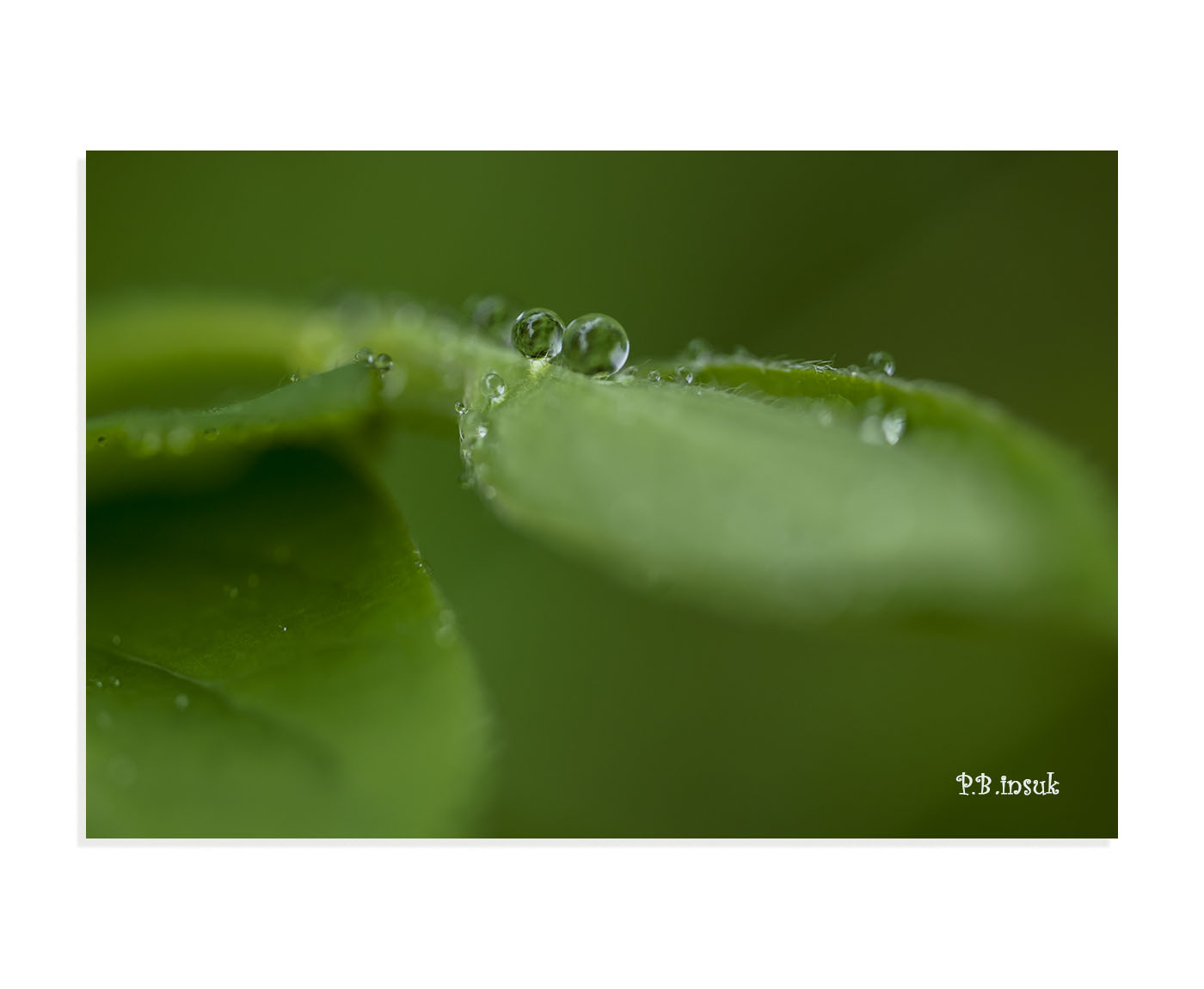 071A2614-1.jpg