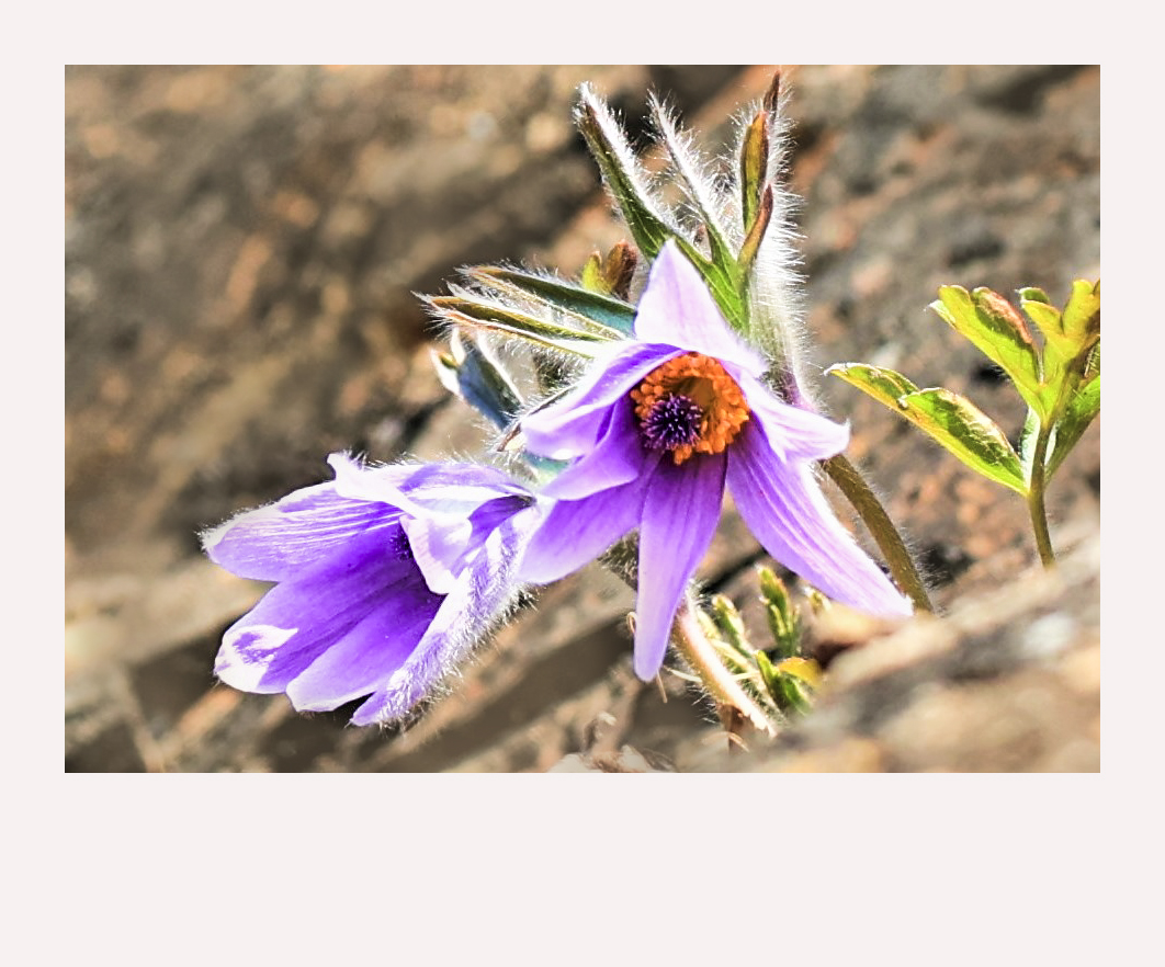 3E9A3022 -1-1200액자.jpg