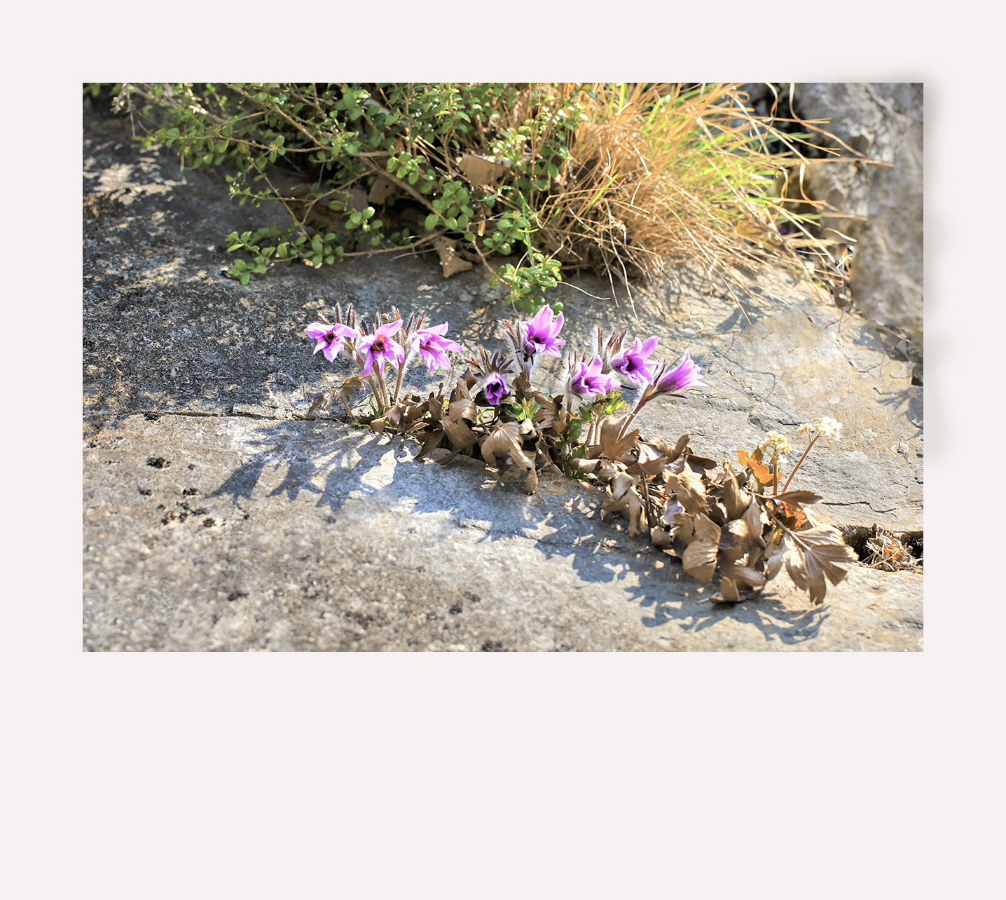 3E9A3003 -1-1200액자.jpg