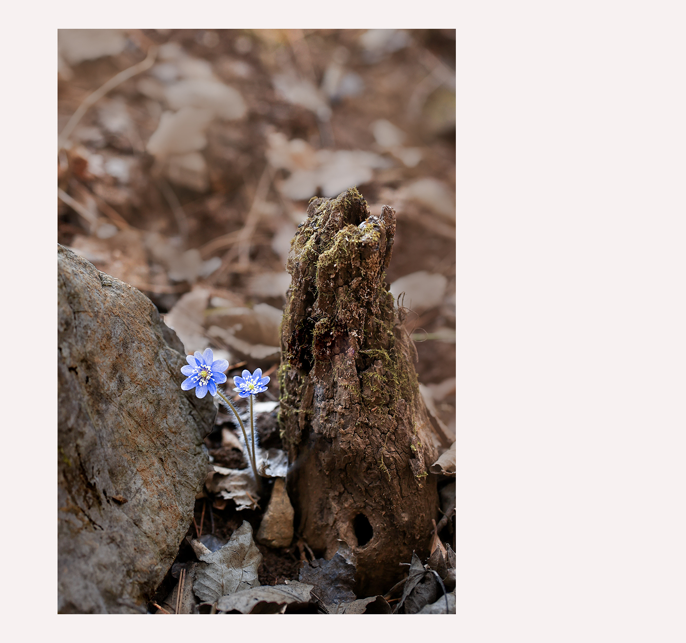 3E9A3251 -1-1200액자.jpg