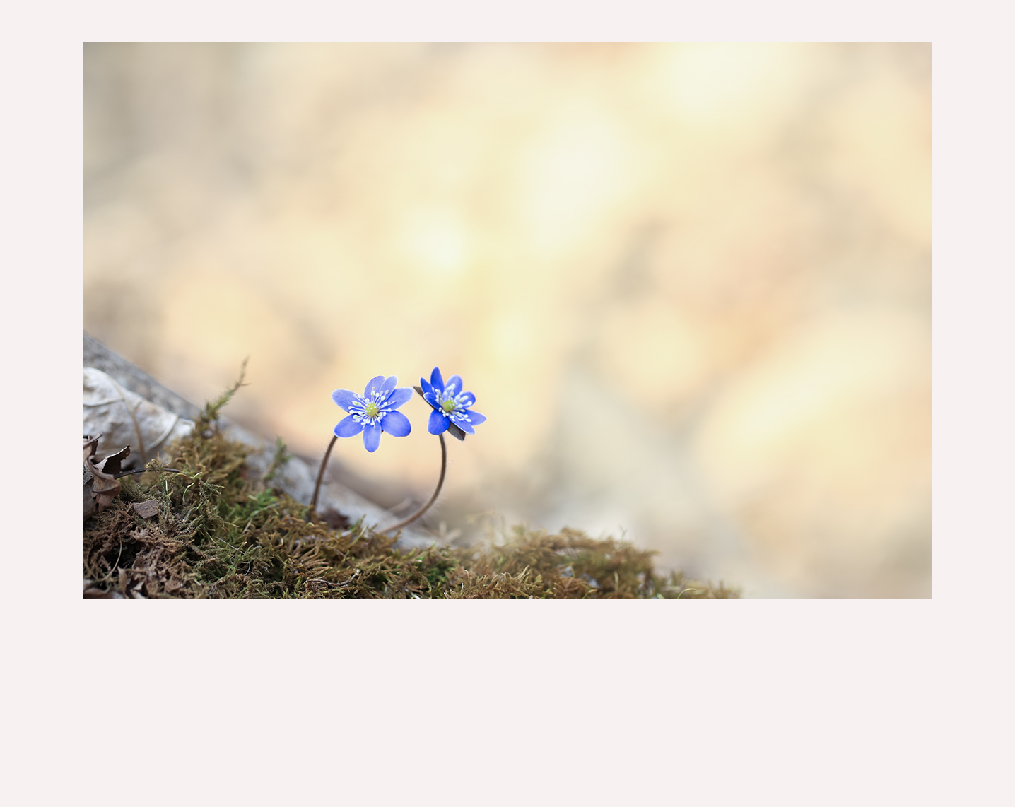 3E9A3209 -1-1200액자.jpg