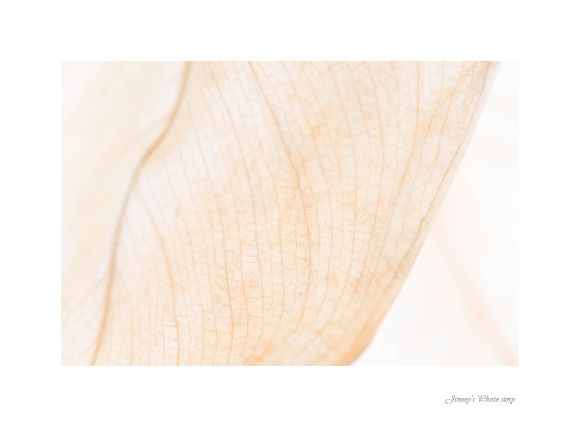 _49a6228a.jpg