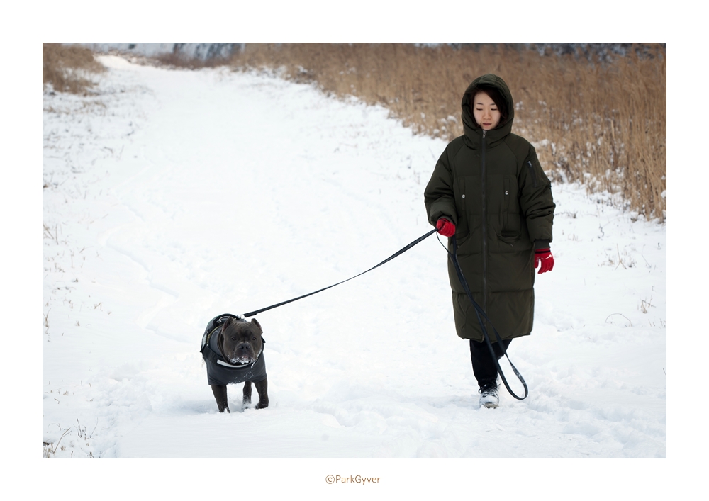 parkgyver_20170120_3481_feel_.jpg