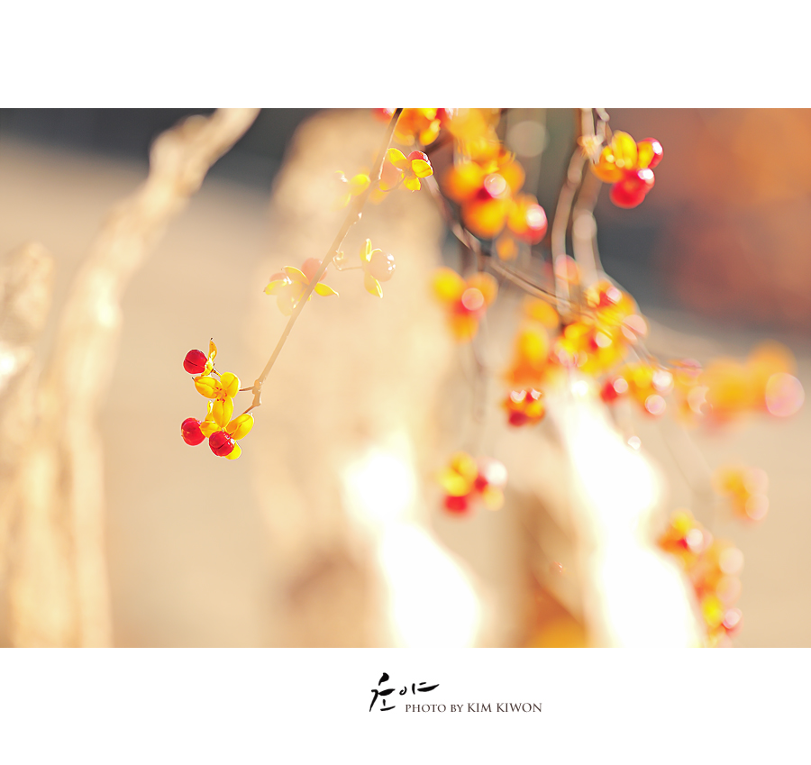 won_8348_29422_01_복사.jpg