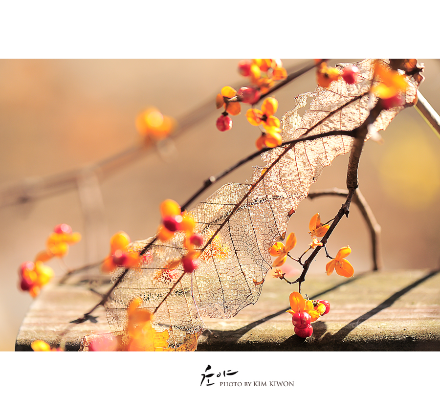 won_8359_29432-1_복사.jpg