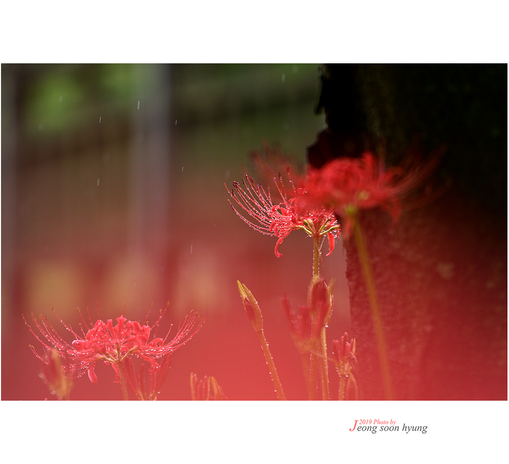 DSC_5968r.jpg
