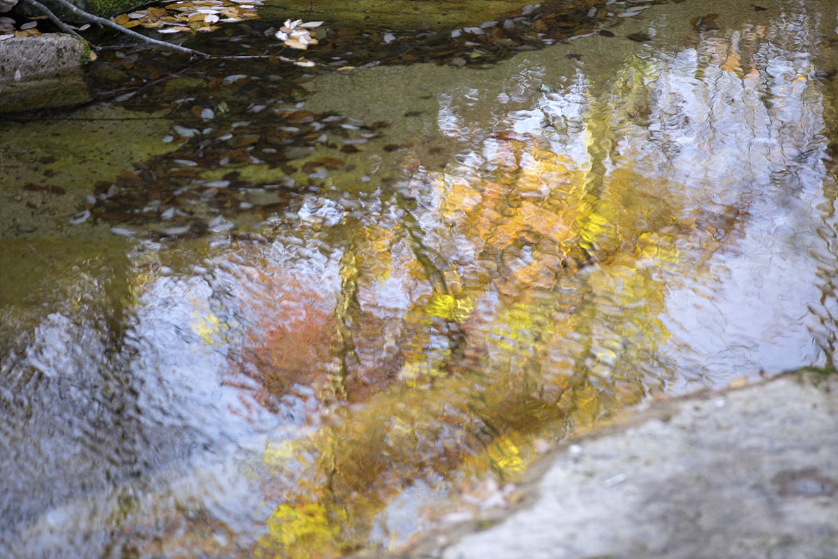 iu5a2653-w1.jpg