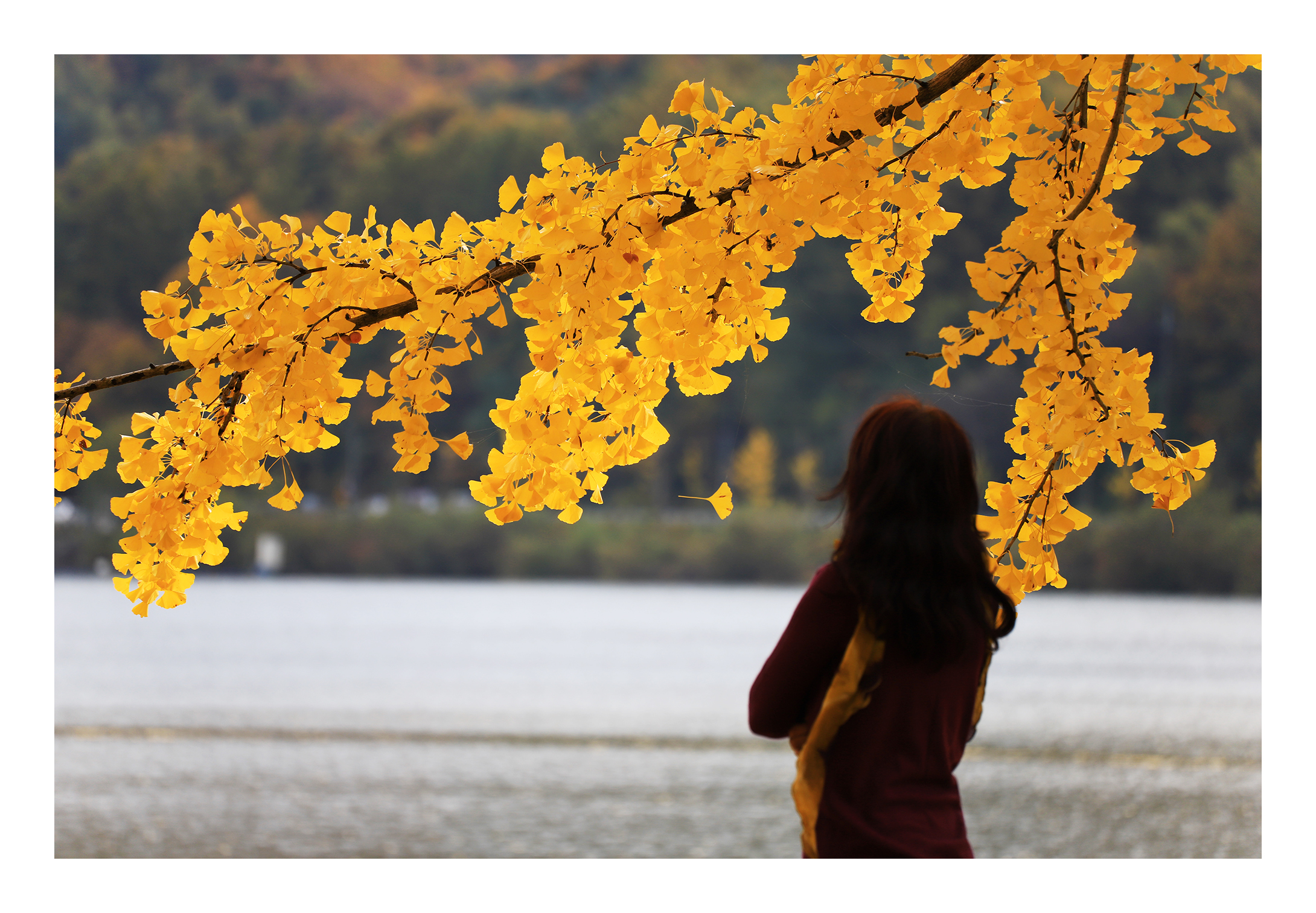 img_1804-보정.jpg