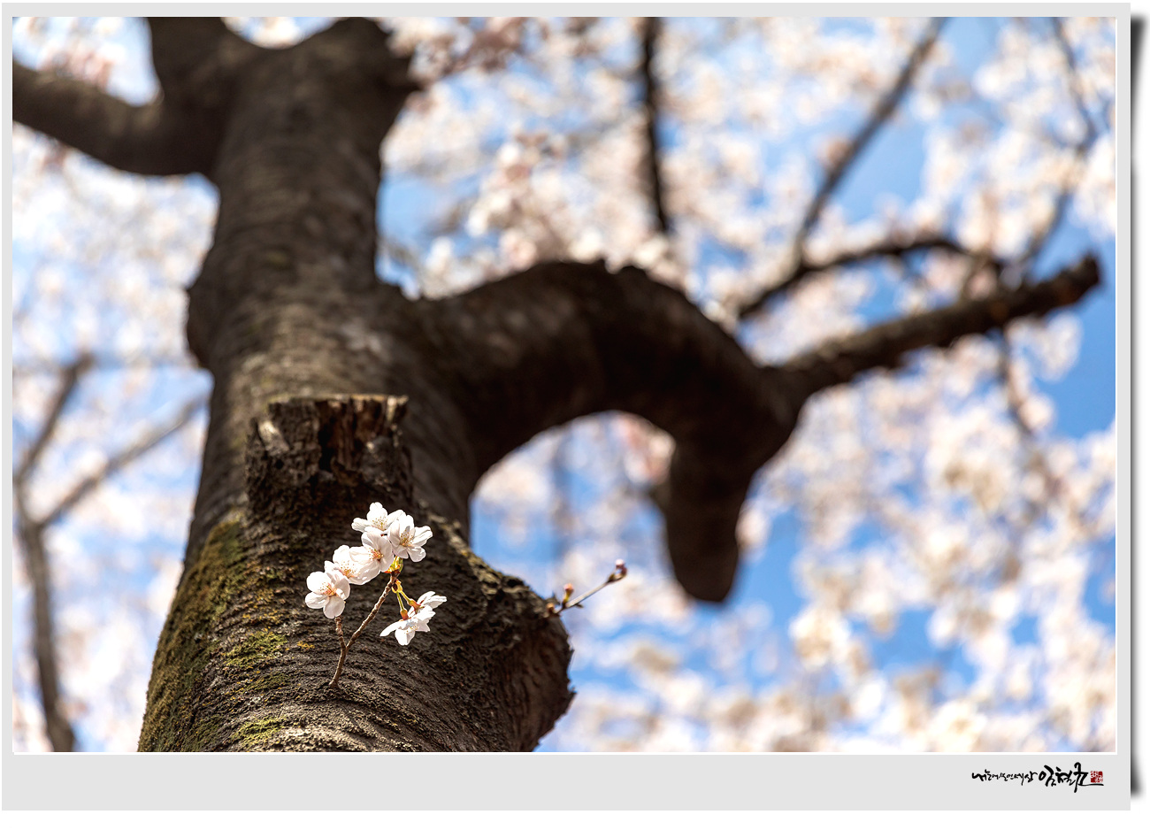 122A0365 복사.jpg