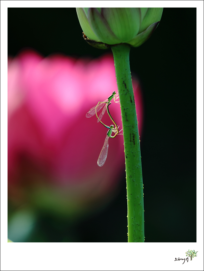 1D5A0547.jpg